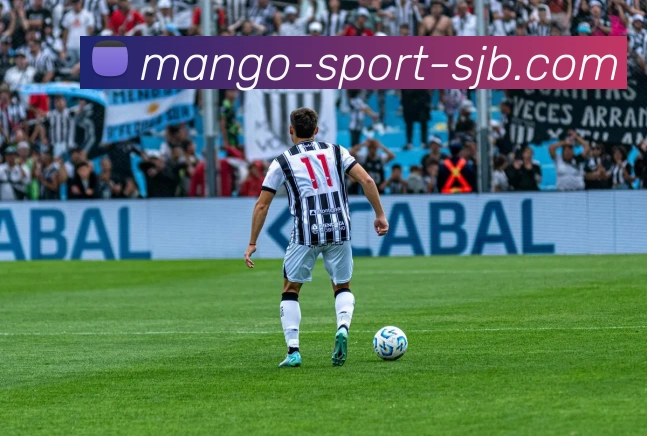 芒果体育，芒果体育，芒果体育官网，芒果体育入口，芒果体育APP平台生态图